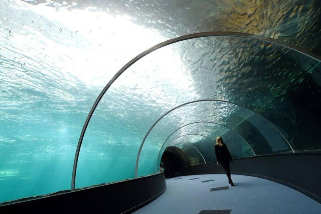 La Perle Marine :Boulogne Sur Mer Luaran gambar