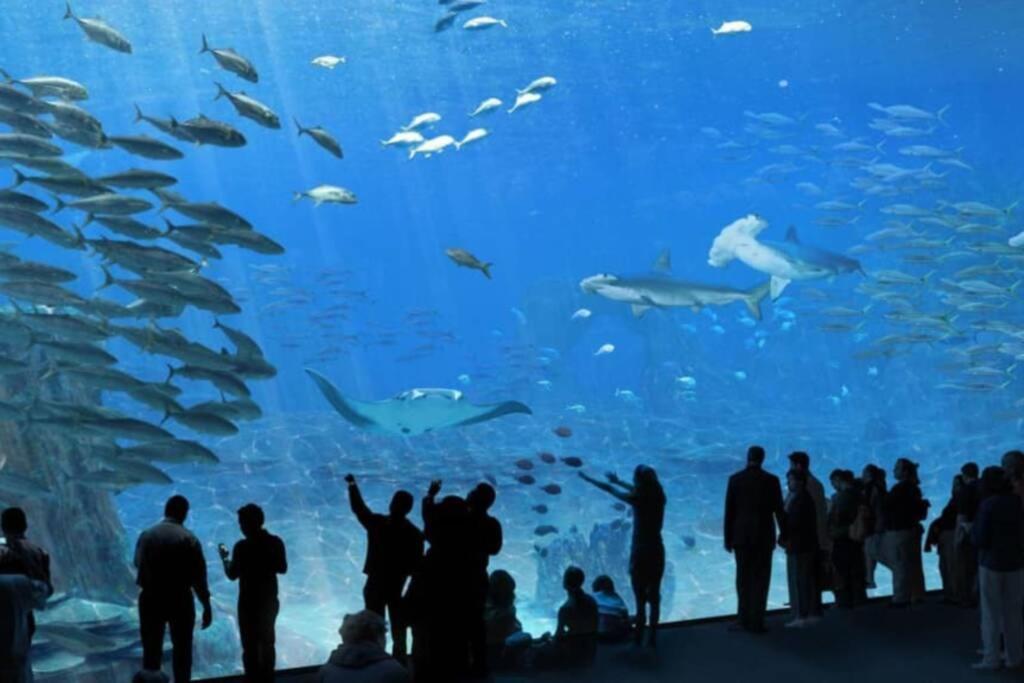 La Perle Marine :Boulogne Sur Mer Luaran gambar